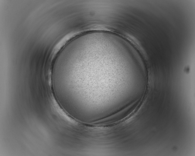 X0000113291188200909211056