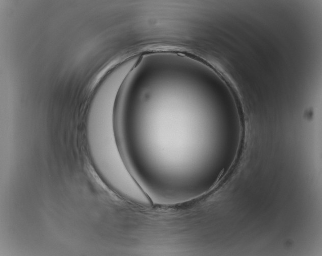 X0000113291189200909211056