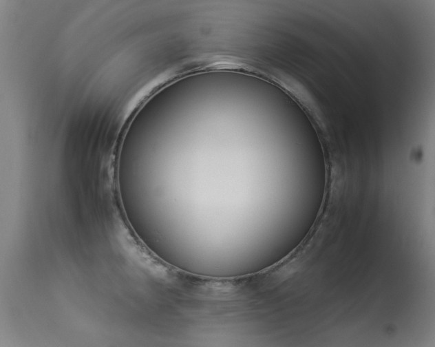 X0000113291190200909211056