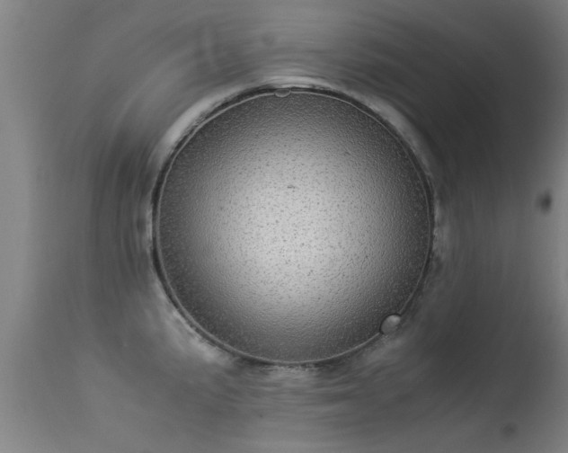 X0000113291191200909211056