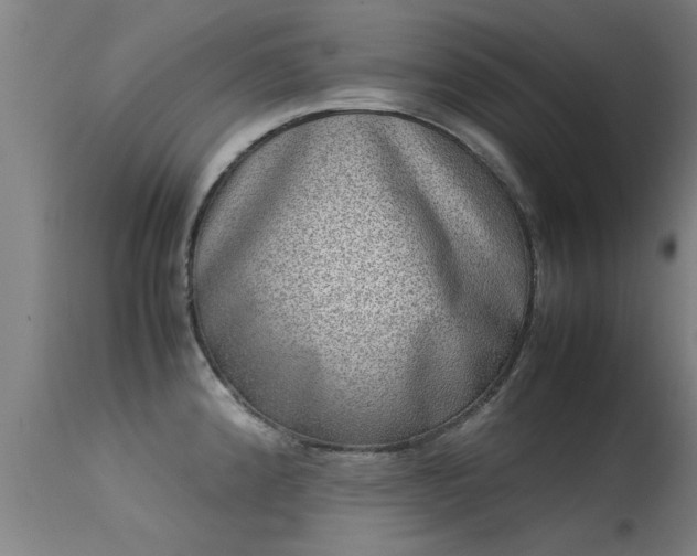 X0000113291192200909211056