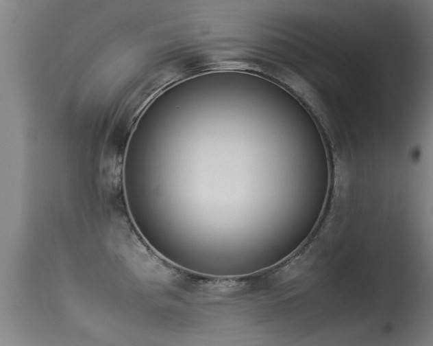 X0000113291193200909211056