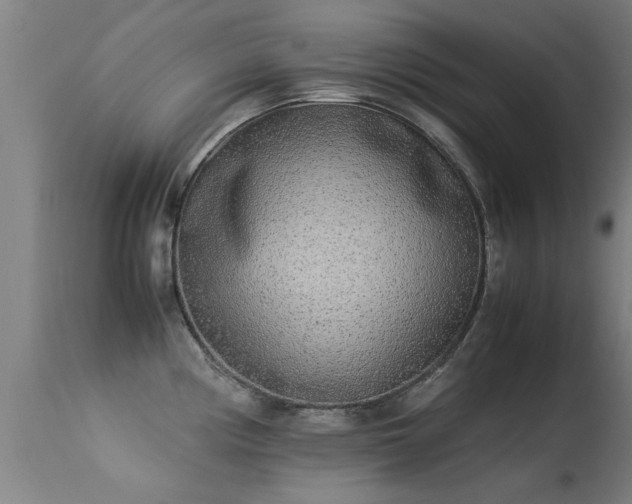 X0000113291194200909211056