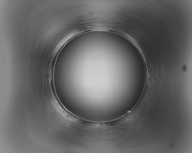 X0000113291195200909211056