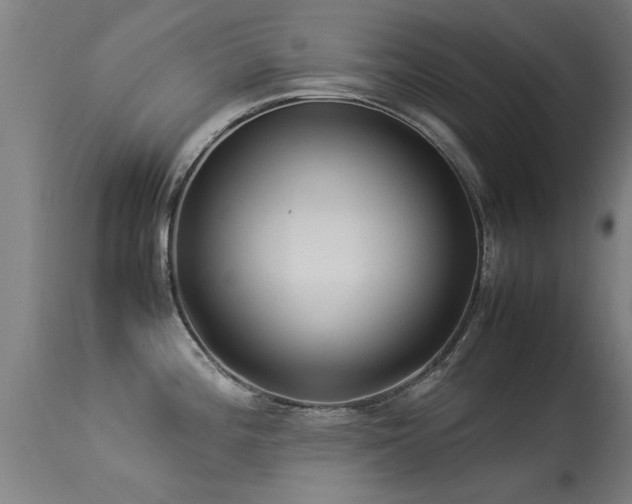 X0000113291196200909211056