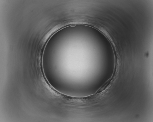 X0000113291197200909211056