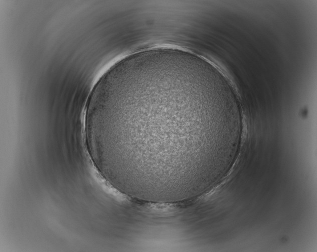 X0000113291198200909211056