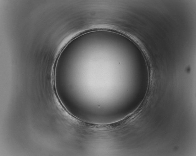 X0000113291199200909211056