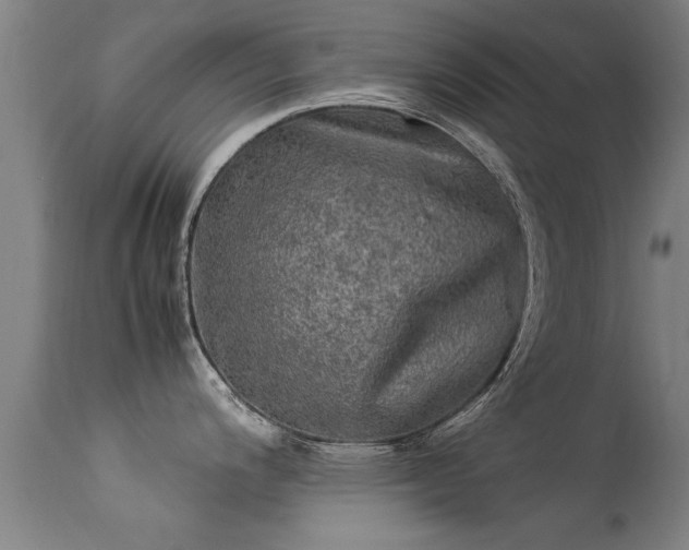 X0000113291200200909211056