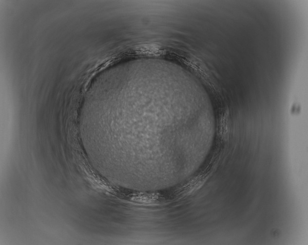 X0000113291201200909211056