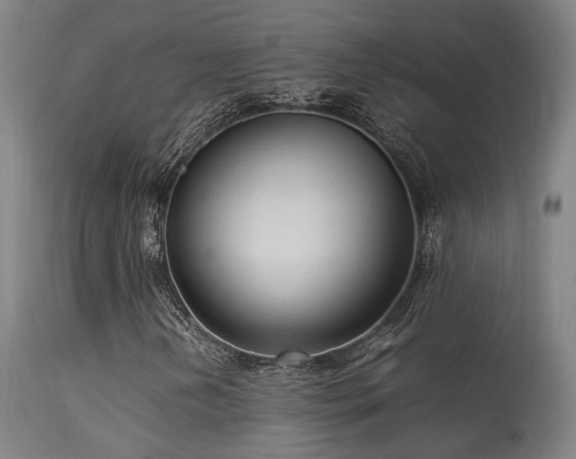 X0000113291202200909211056