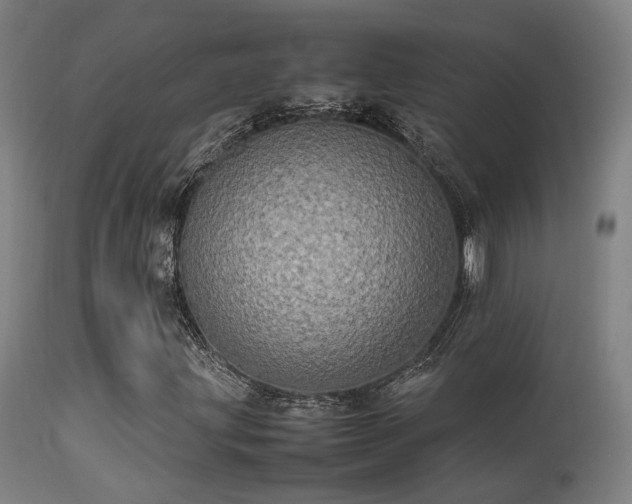 X0000113291203200909211056