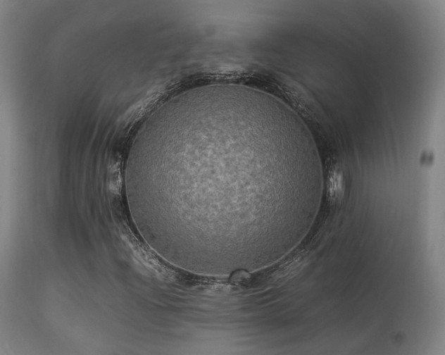 X0000113291204200909211056