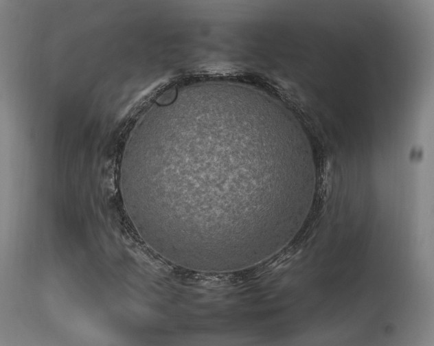 X0000113291205200909211056