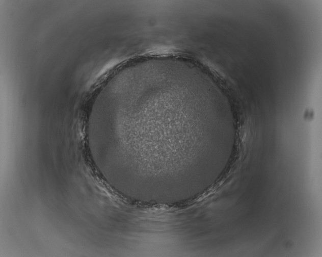 X0000113291206200909211056