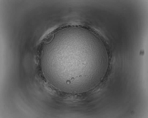 X0000113291207200909211056