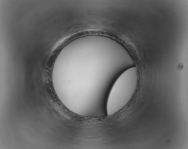 X0000113291208200909211056