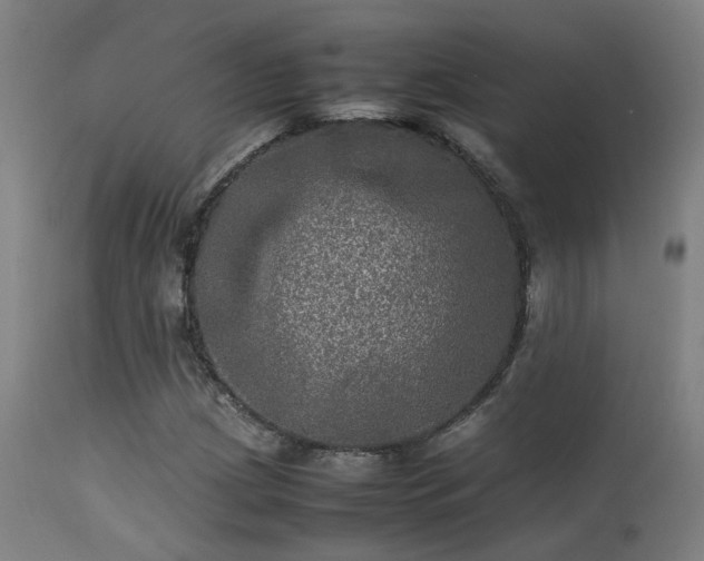 X0000113291209200909211056