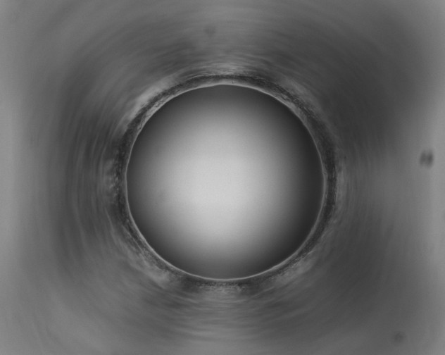 X0000113291210200909211056