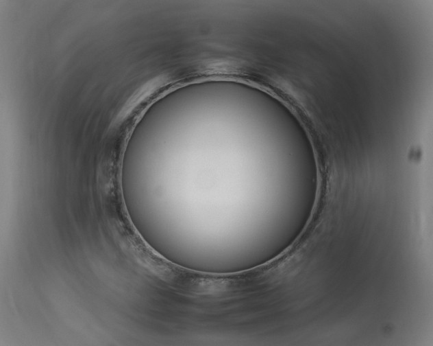 X0000113291211200909211056