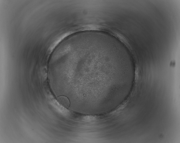 X0000113291212200909211056