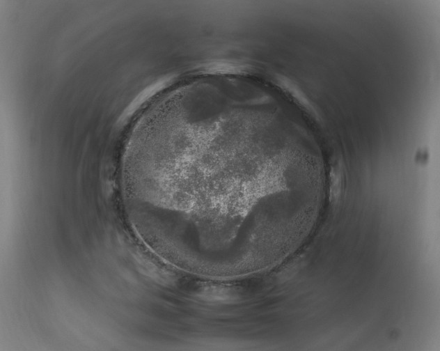 X0000113291213200909211056