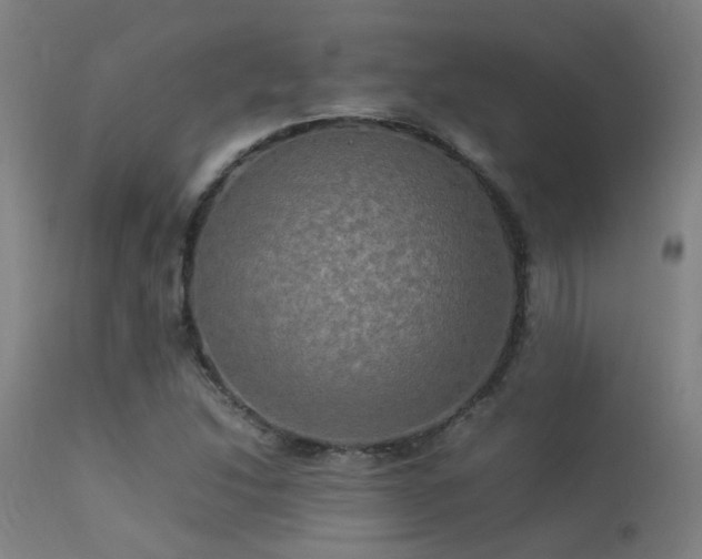 X0000113291214200909211056