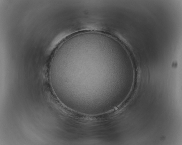 X0000113291215200909211056