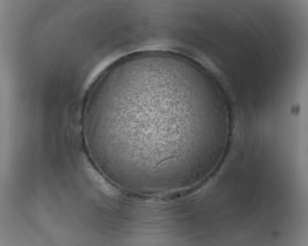 X0000113291216200909211056