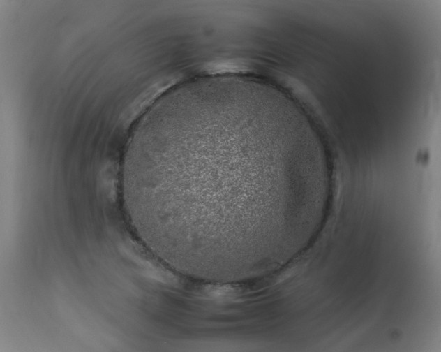 X0000113291217200909211056