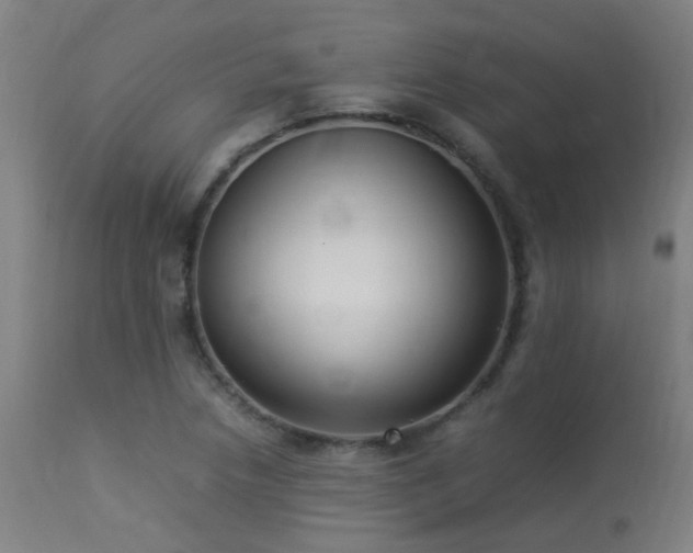 X0000113291218200909211056