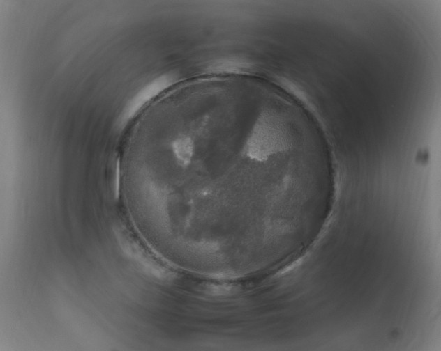 X0000113291219200909211056