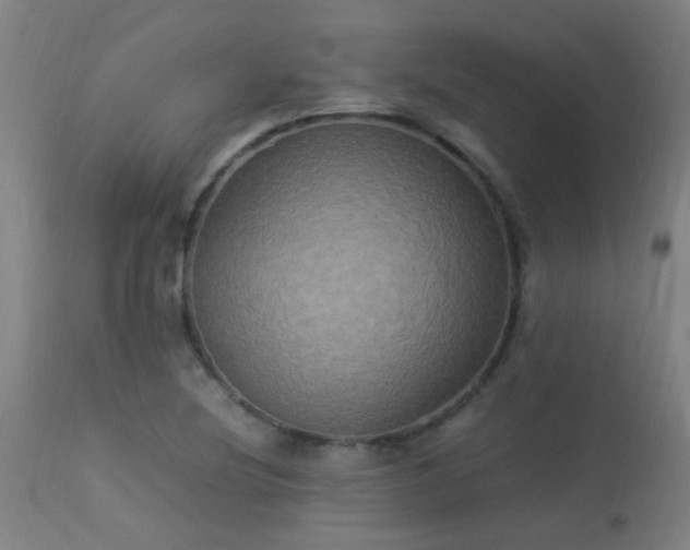 X0000113291220200909211056