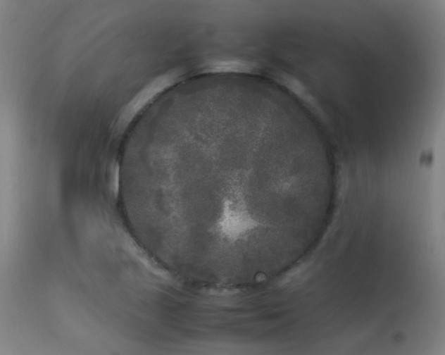 X0000113291221200909211056