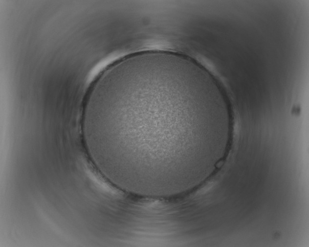 X0000113291222200909211056