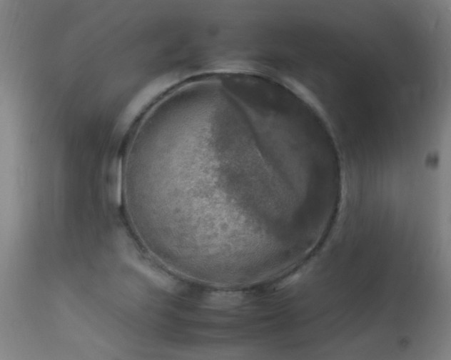 X0000113291223200909211056