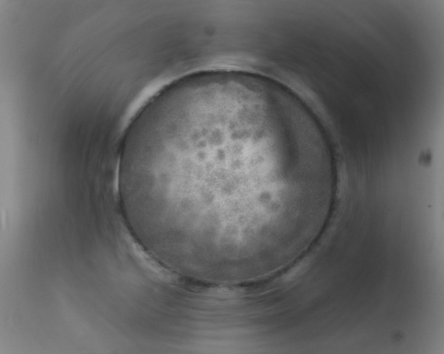 X0000113291224200909211056