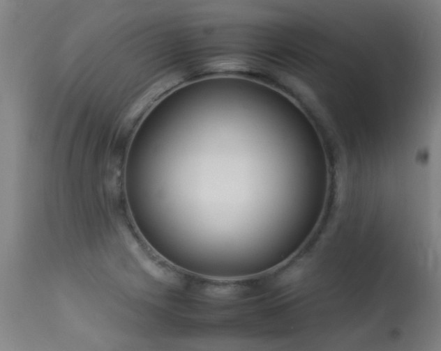 X0000113291225200909211056