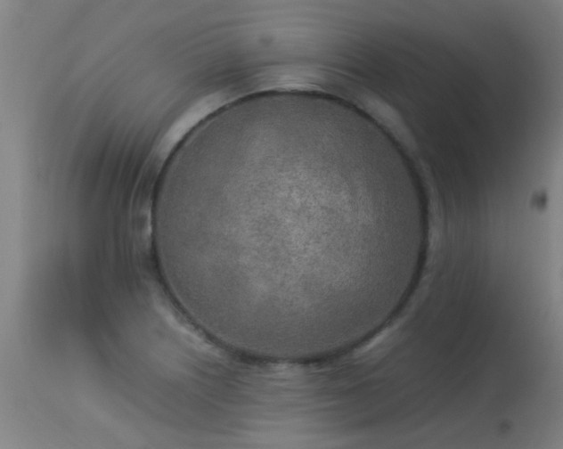 X0000113291226200909211056