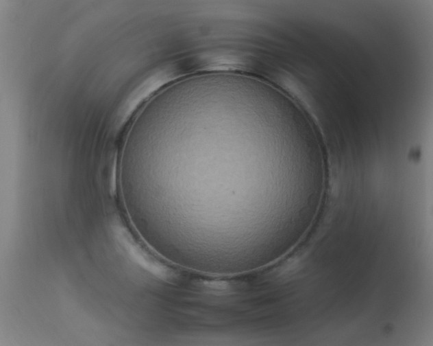 X0000113291227200909211056