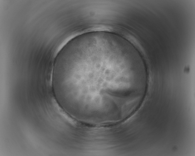 X0000113291228200909211056