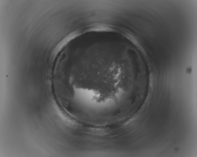 X0000113291229200909211056