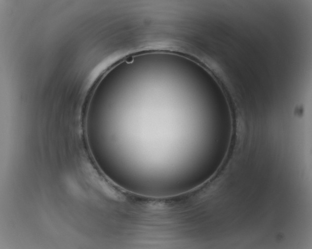 X0000113291230200909211056