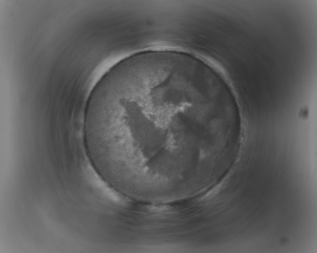 X0000113291231200909211056