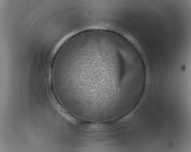 X0000113291232200909211056