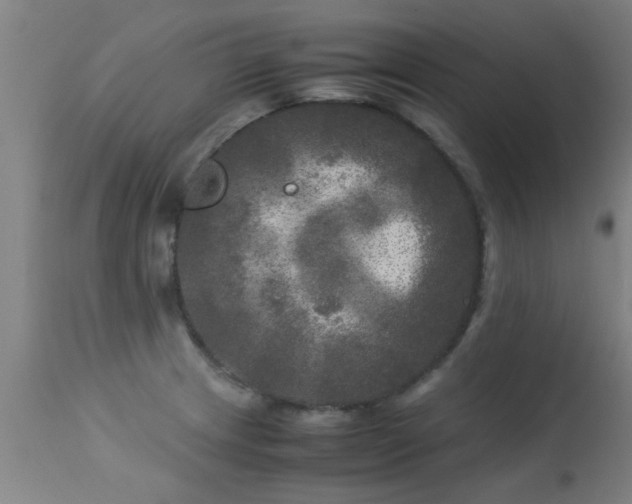 X0000113291233200909211056