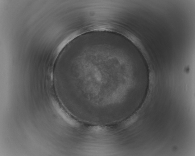 X0000113291234200909211056