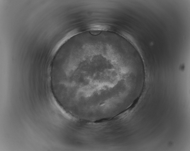 X0000113291235200909211056