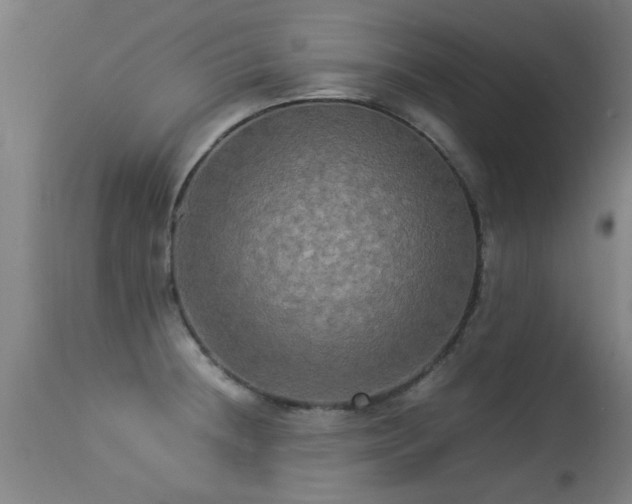 X0000113291236200909211056