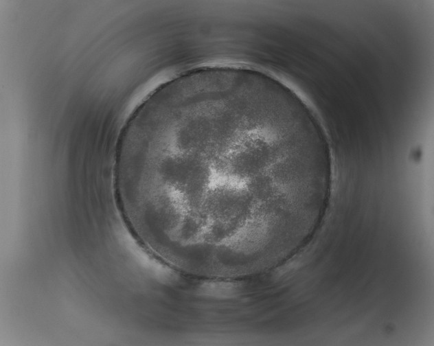 X0000113291237200909211056